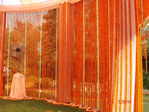 haldi 18jan2021 2
