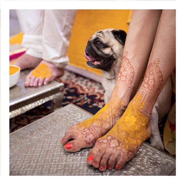 haldi 18jan2021 24