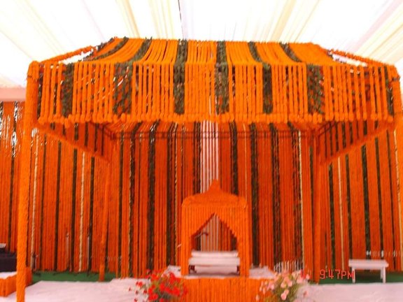 haldi 18jan2021 5